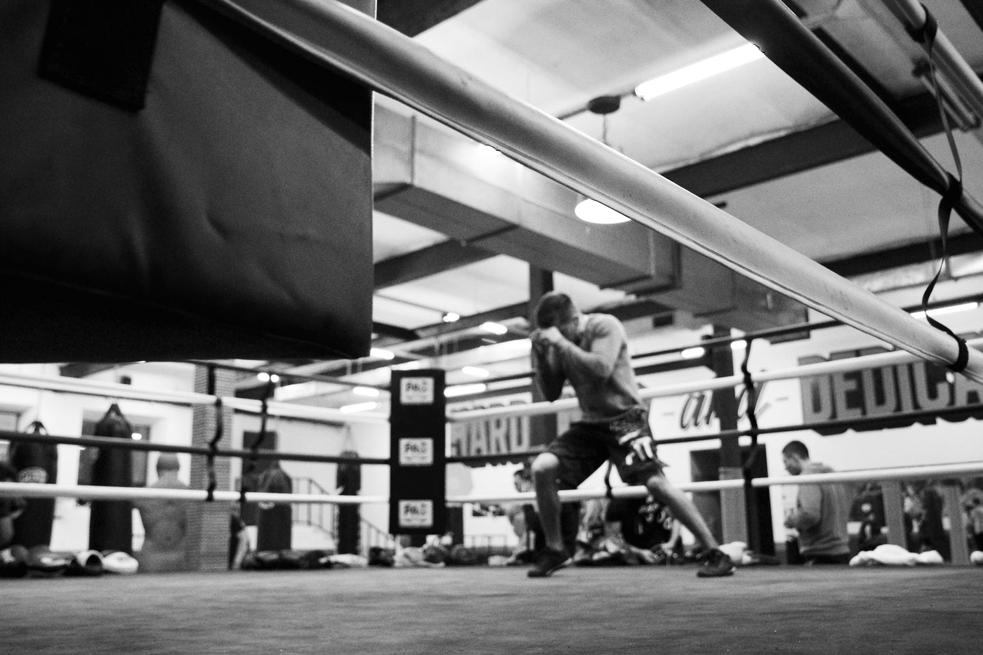 Training